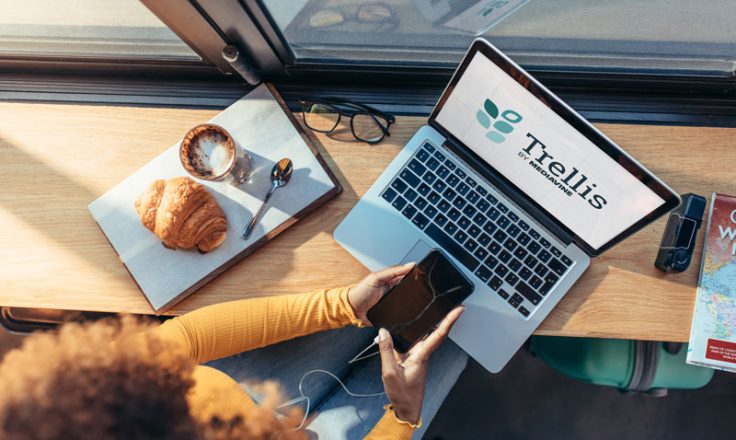 above-view of woman with phone and laptop. Laptop has Trellis logo displayed