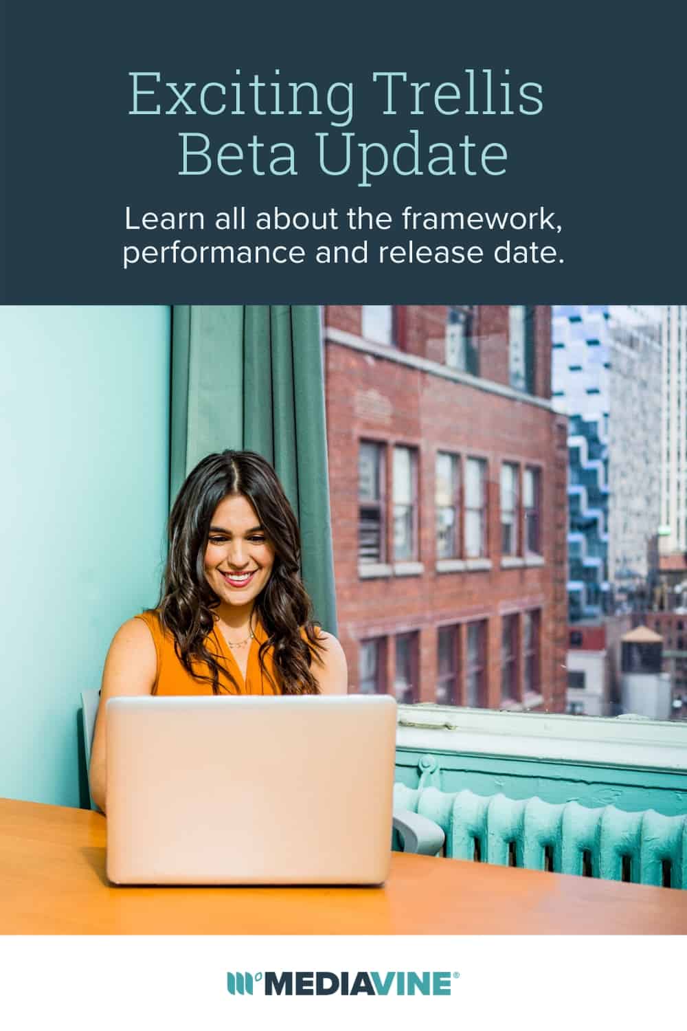 Mediavine Pinterest image: Exciting Trellis Beta Update: Learn all about the framework performance and release date.