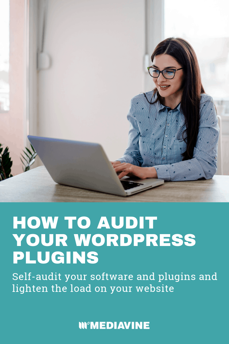 How To Do A Plugin Self Audit